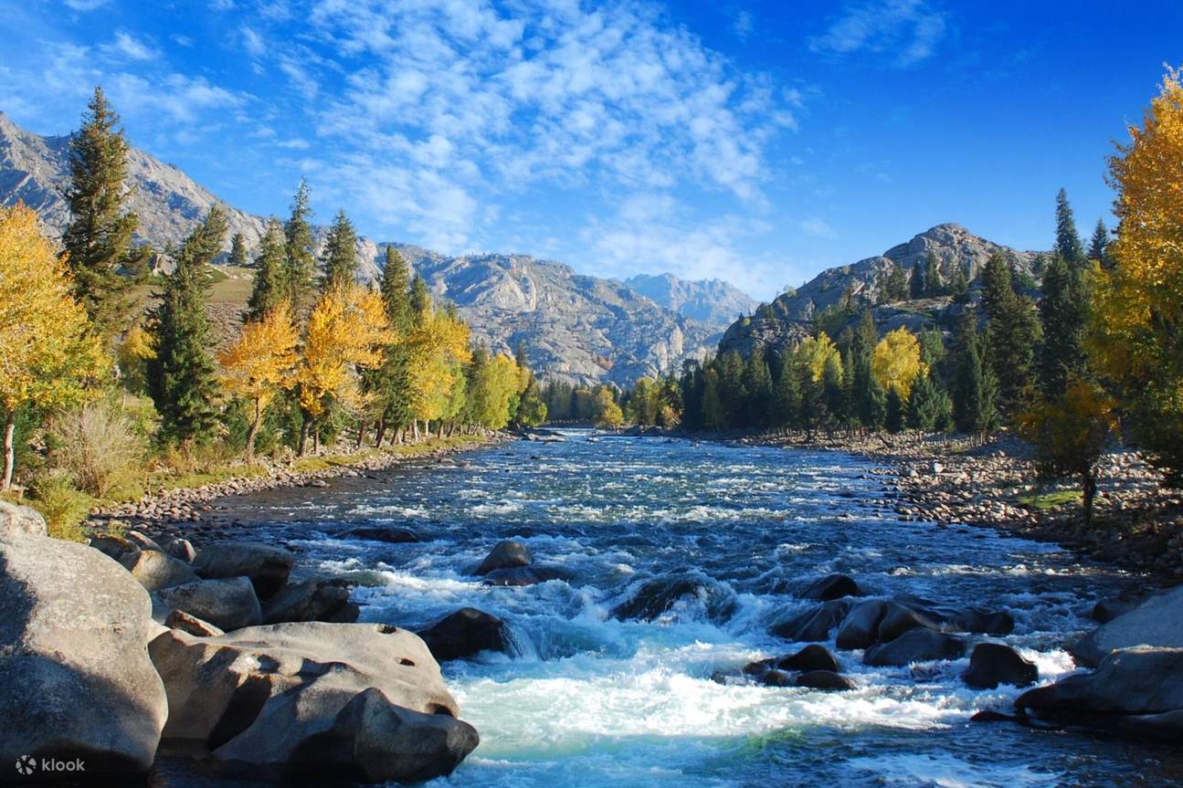 Uy qurilishi biseksuallik Uy qurilishi biseksuallik